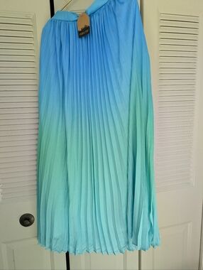 Main Strip Pleated Ombre Midi Skirt in Blue and Green